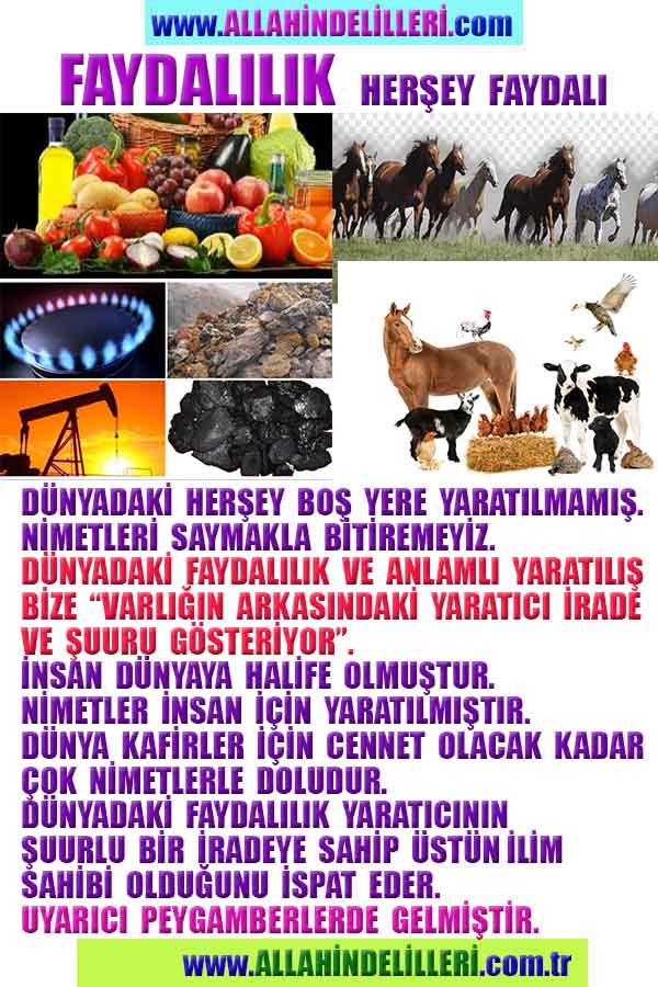 ALLAH ın delilleri,ALLAH, #ALLAH, allah-delilleri, allahin-delilleri, allahin delilleri, allah in varlığının delilleri,