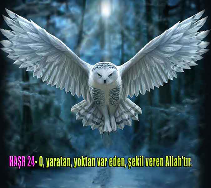 ALLAH, #ALLAH, allah-delilleri, allahin-delilleri, allahin delilleri, allah in varlığının delilleri,